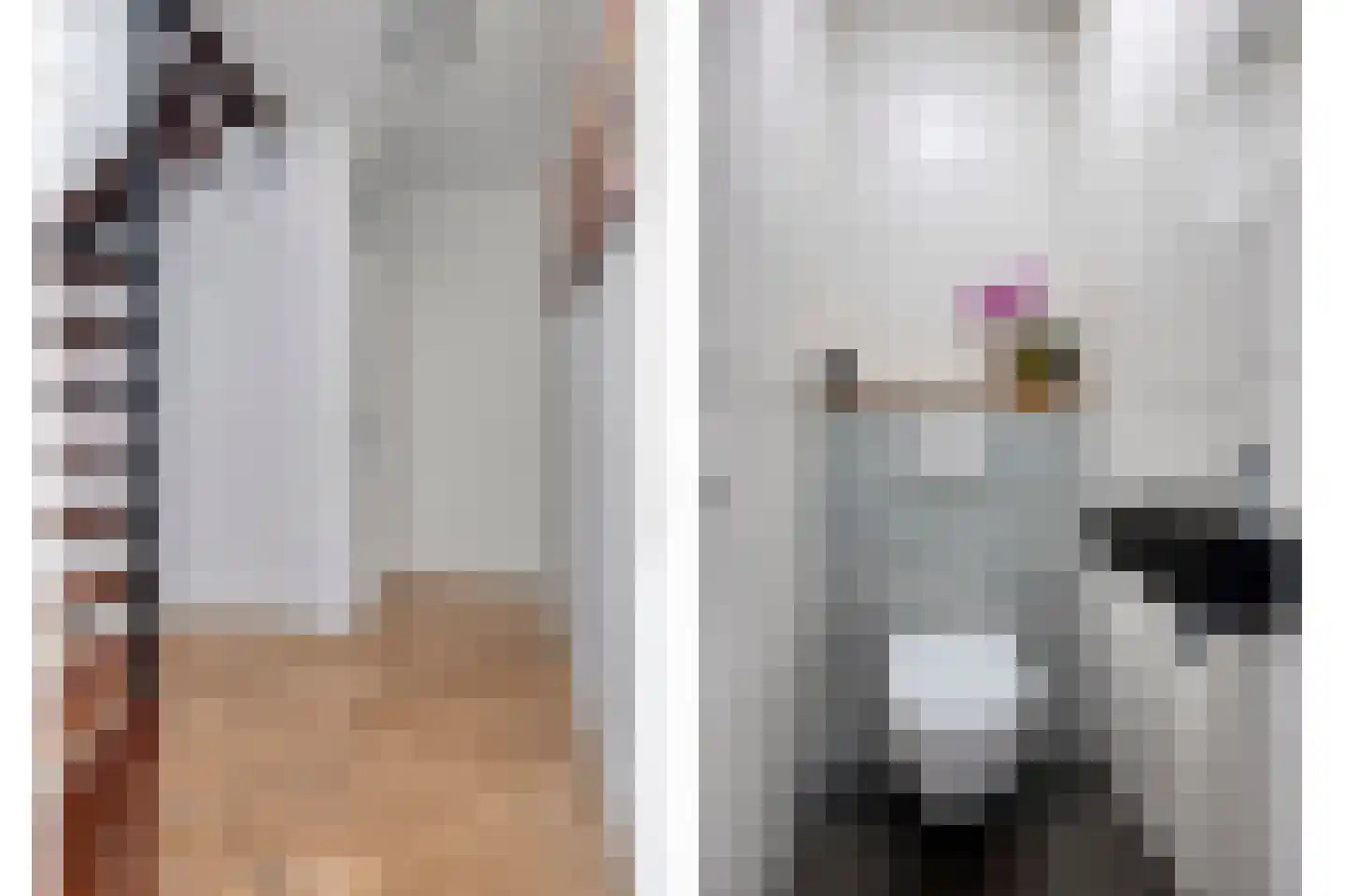Kamgras 3 Veenendaal thumbnail 6
