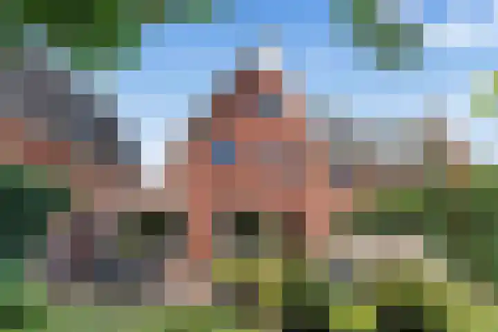 Kamgras 33 en Houten