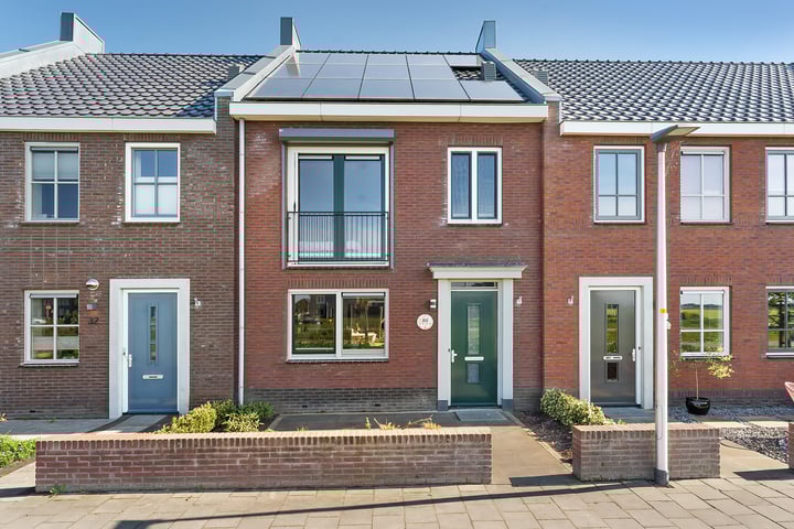 Kamgras 33 in Meppel Foto