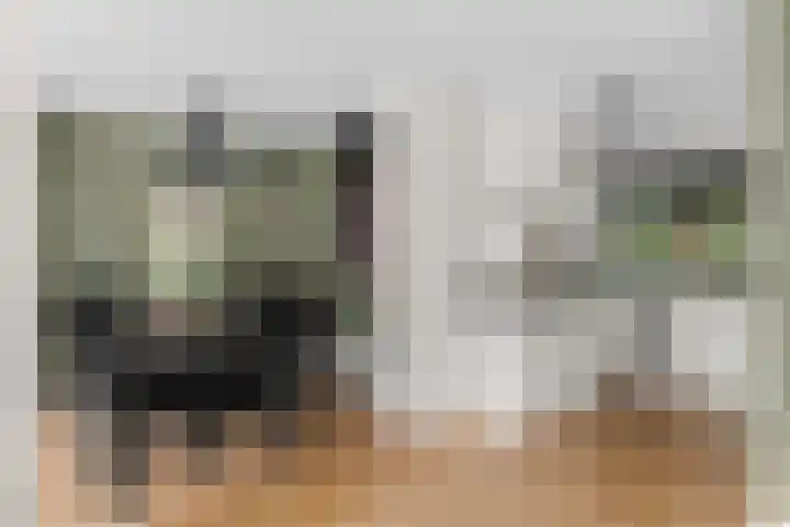 Kamgras 33 Houten thumbnail 11