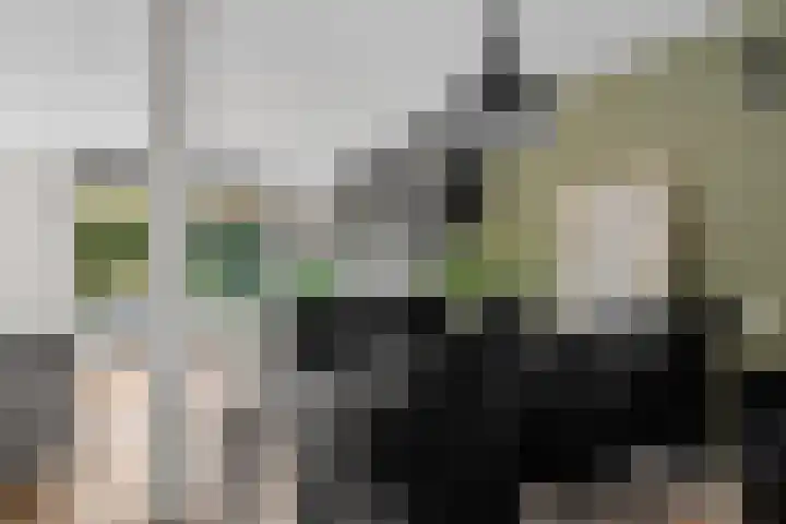 Kamgras 33 Houten thumbnail 12