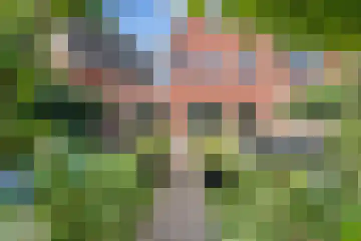 Kamgras 33 Houten thumbnail 21