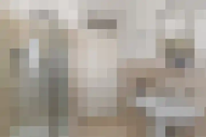 Kamgras 33 Houten thumbnail 35