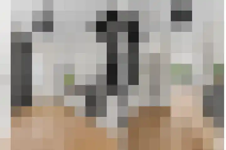 Kamgras 33 Houten thumbnail 44
