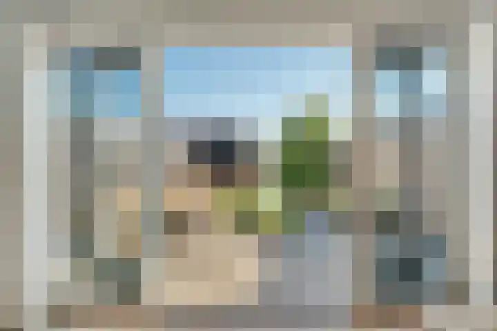 Kamgras 33 Meppel thumbnail 37