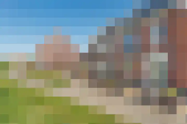 Kamgras 33 Meppel thumbnail 45