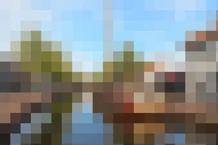 Kamgras 33 Meppel thumbnail 50