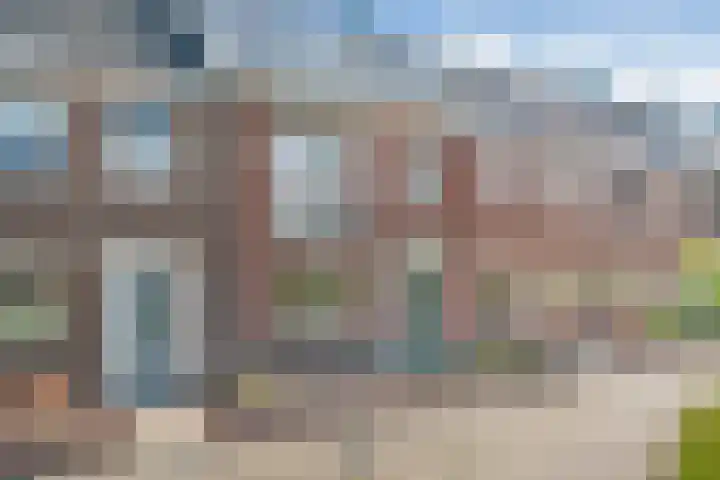 Kamgras 33 Meppel thumbnail 6