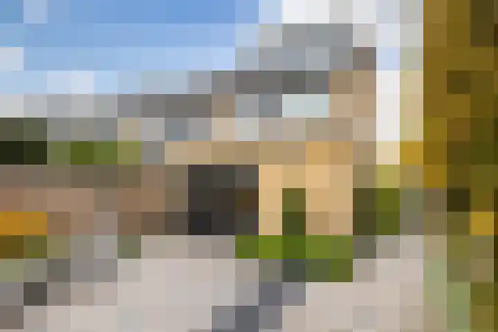 Kamgras 33 Veenendaal thumbnail 32