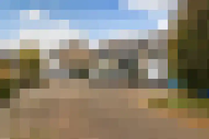 Kamgras 33 Veenendaal thumbnail 33