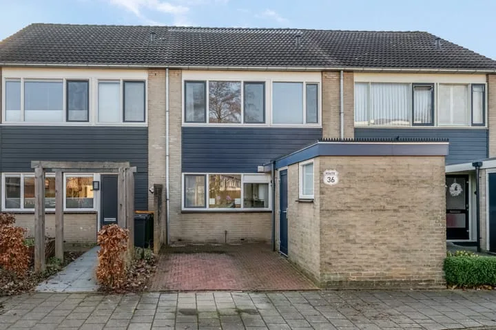 Kamgras 36 in Veenendaal