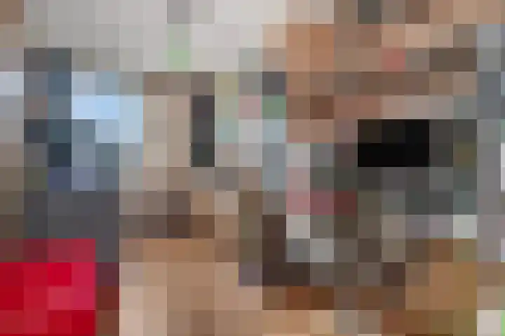Kamgras 36 Veenendaal thumbnail 17