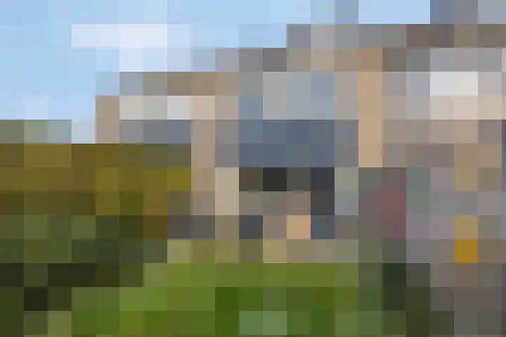 Kamgras 36 Veenendaal thumbnail 25