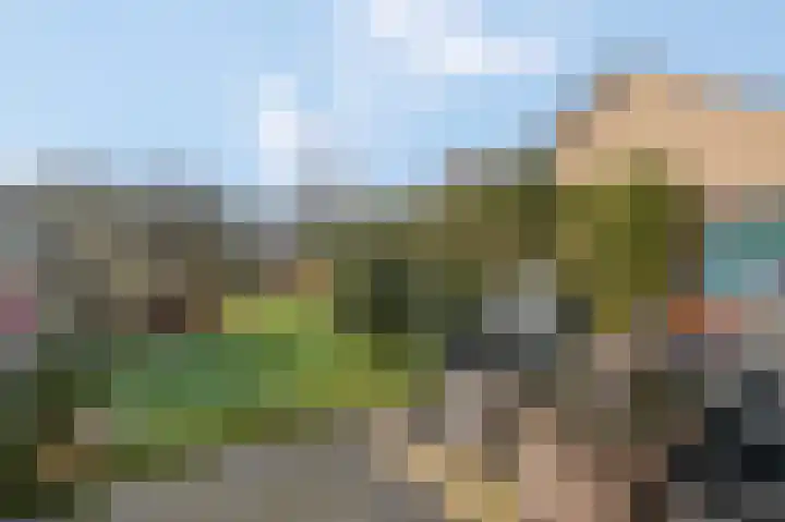 Kamgras 36 Veenendaal thumbnail 27