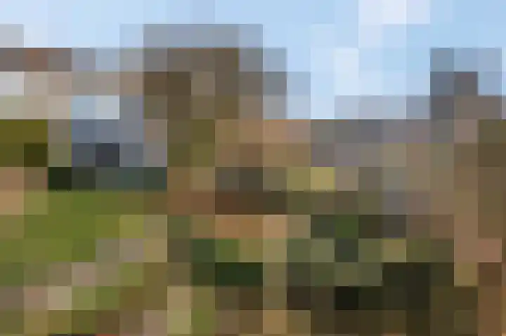 Kamgras 36 Veenendaal thumbnail 30