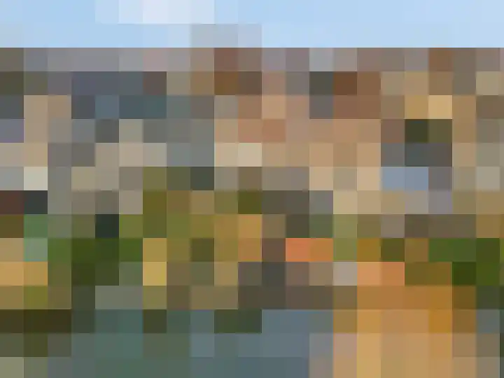 Kamgras 36 Veenendaal thumbnail 31