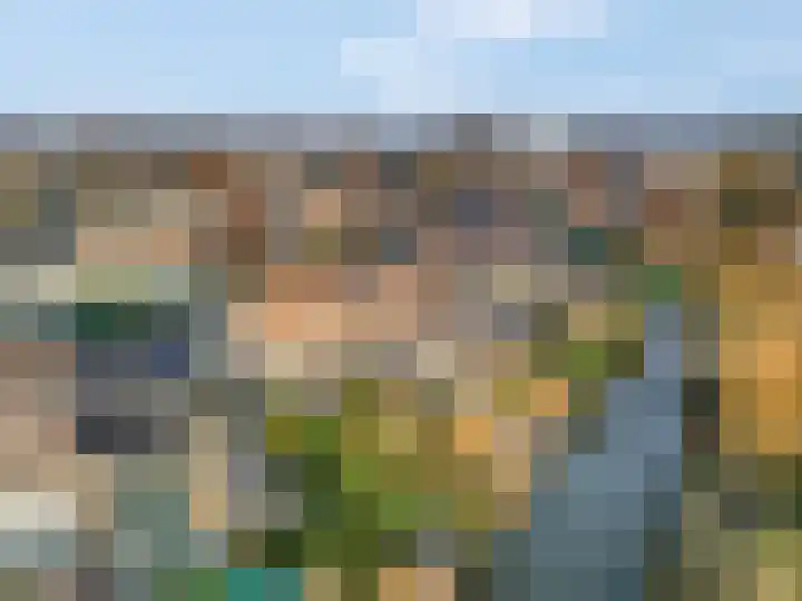 Kamgras 36 Veenendaal thumbnail 32