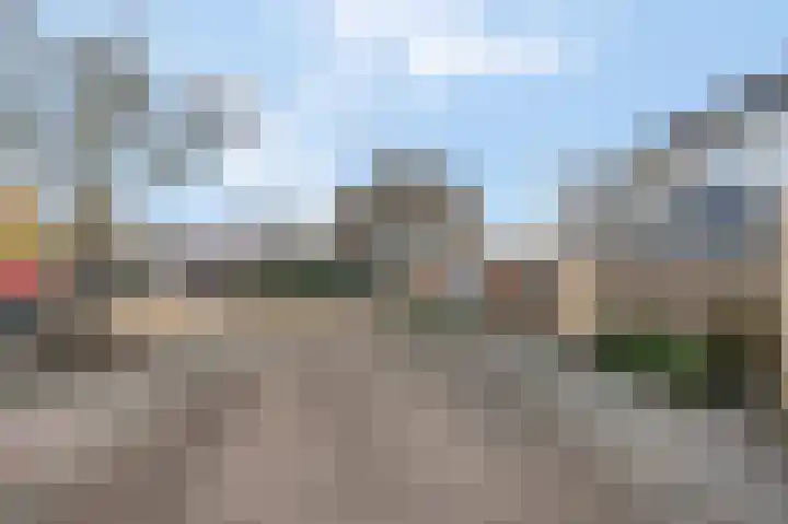 Kamgras 36 Veenendaal thumbnail 36