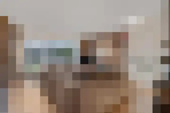 Kamgras 36 Veenendaal thumbnail 4