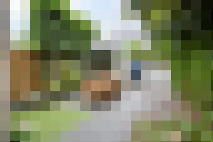 Kamgras 39 Veenendaal thumbnail 13