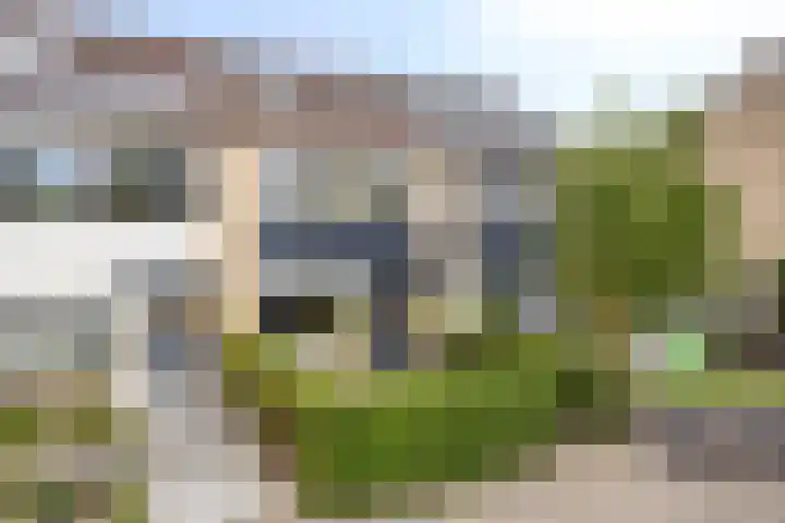 Kamgras 39 Veenendaal thumbnail 33