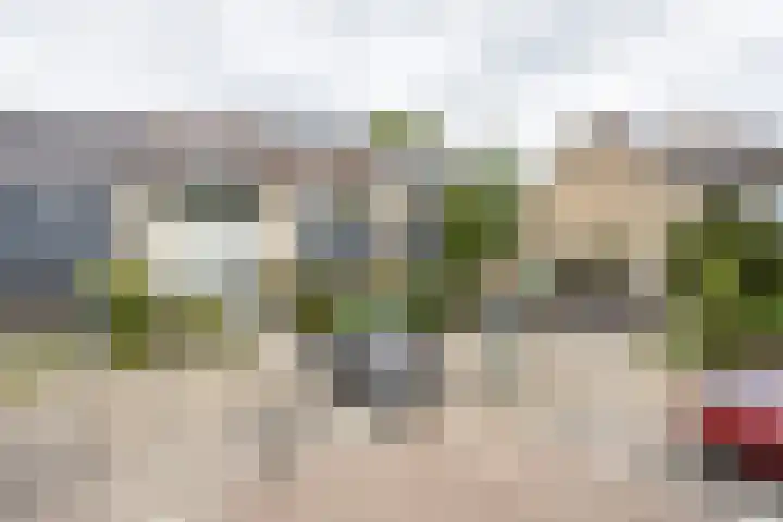 Kamgras 39 Veenendaal thumbnail 34