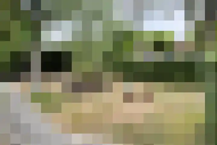 Kamgras 39 Veenendaal thumbnail 35