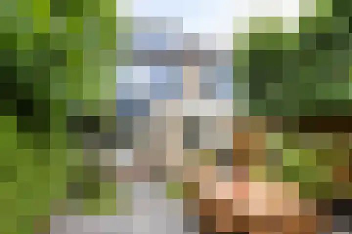 Kamgras 39 Veenendaal thumbnail 4