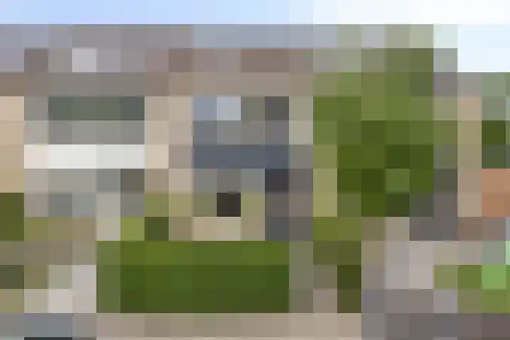 Kamgras 39 Veenendaal thumbnail 41