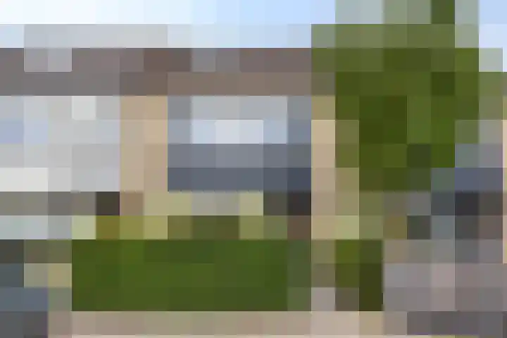 Kamgras 39 Veenendaal thumbnail 5