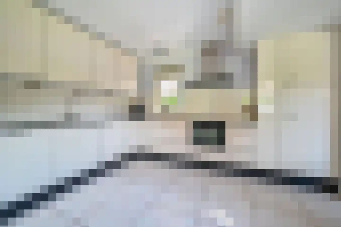 Kamgras 4 Zeewolde thumbnail 10