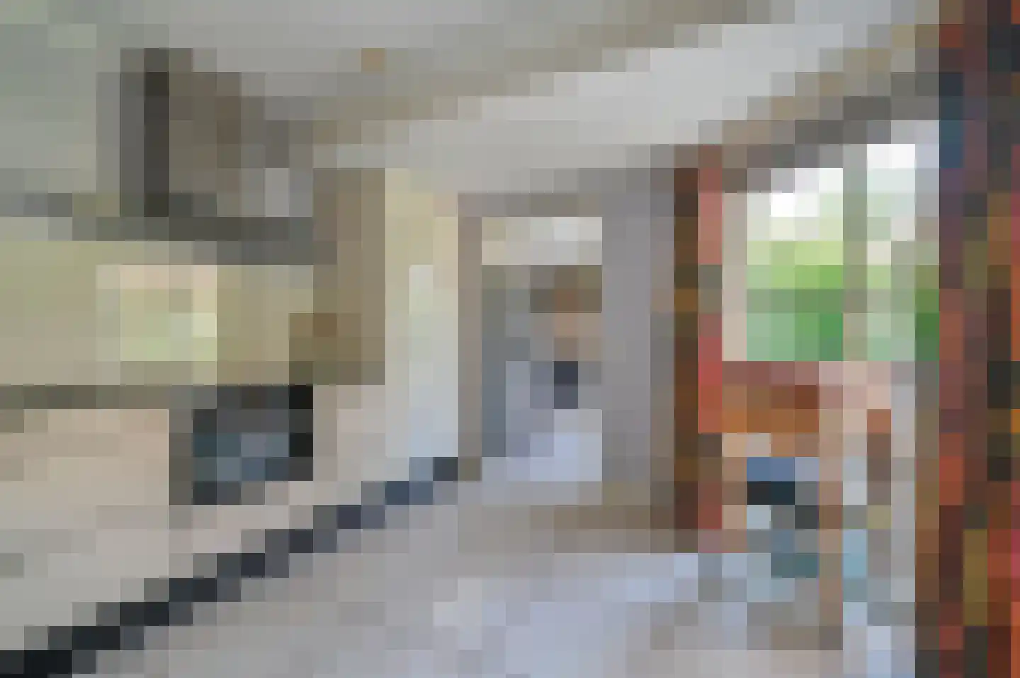 Kamgras 4 Zeewolde thumbnail 12