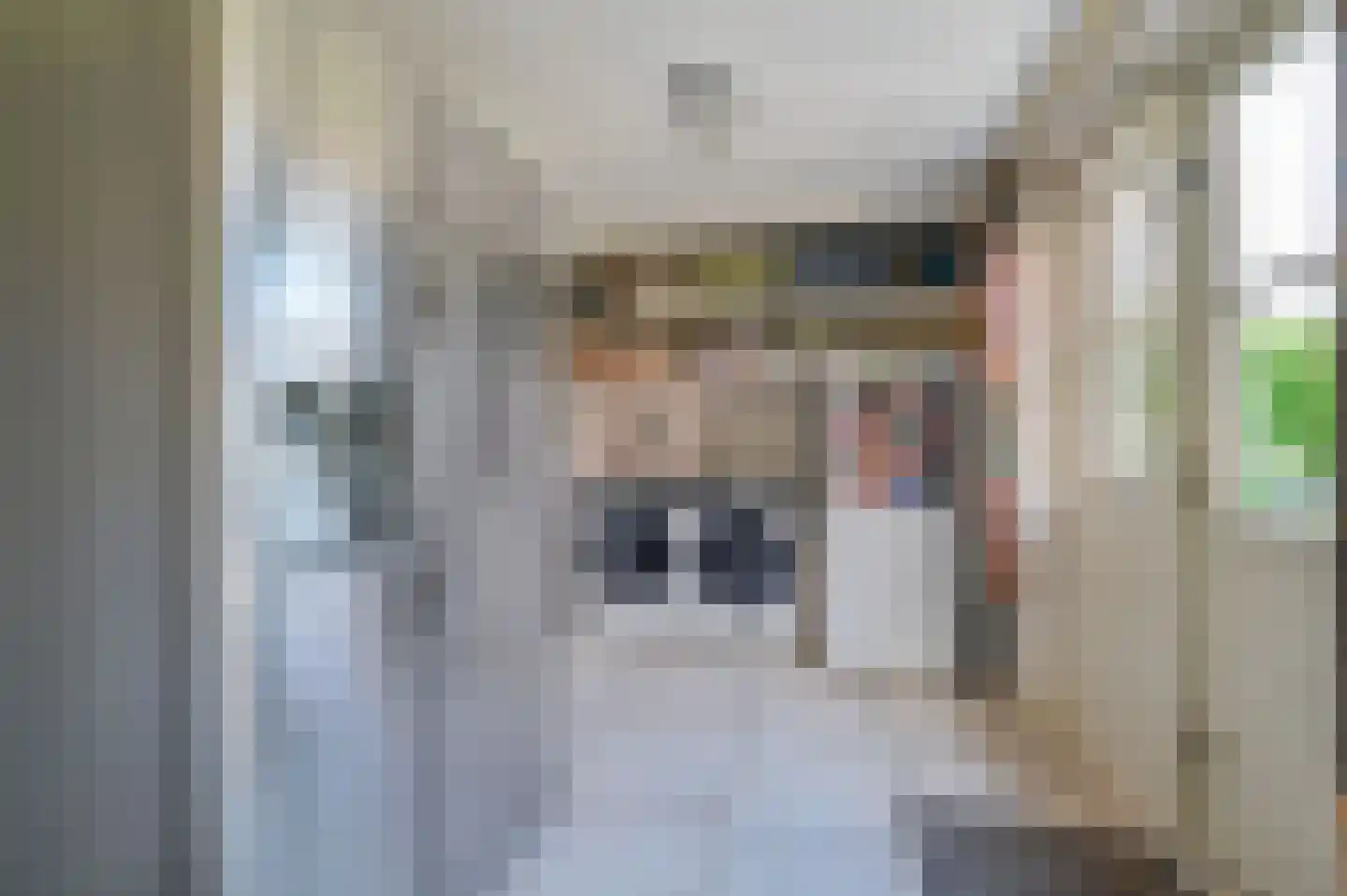 Kamgras 4 Zeewolde thumbnail 13