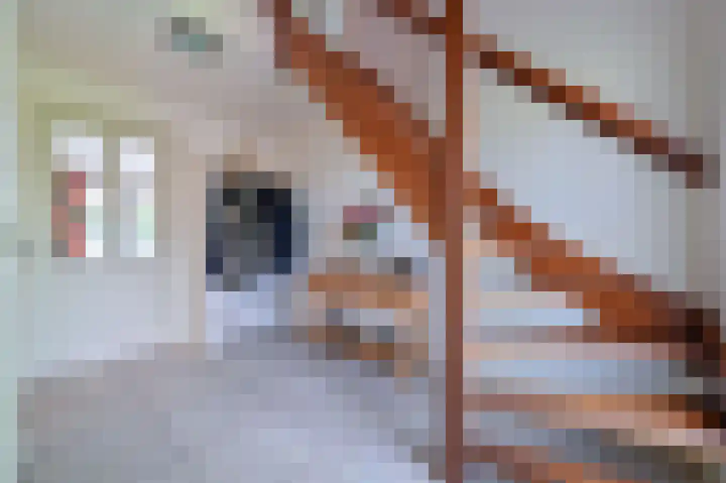 Kamgras 4 Zeewolde thumbnail 14