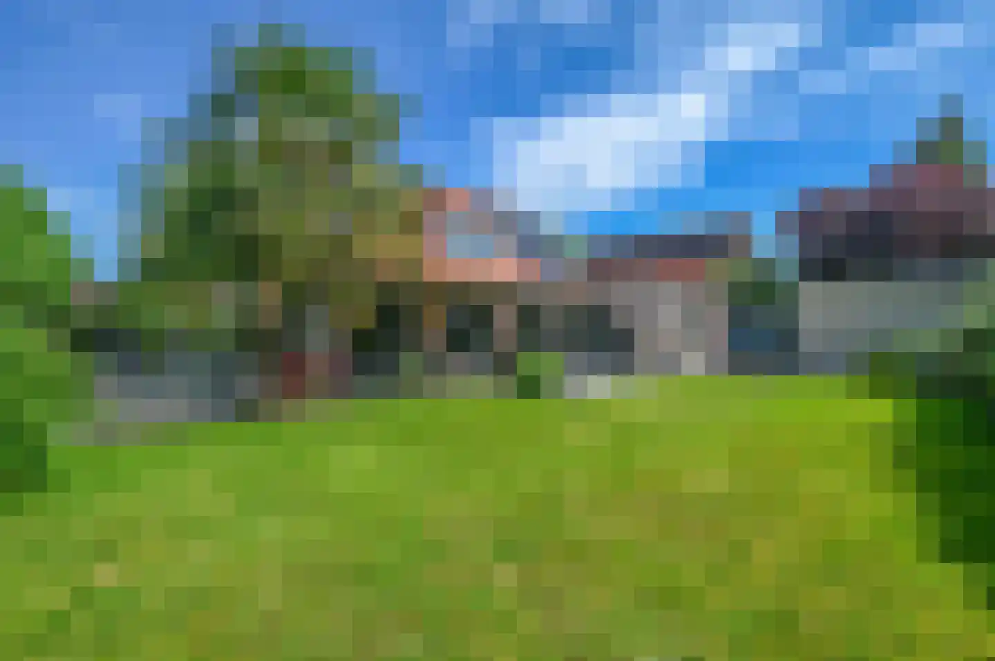 Kamgras 4 Zeewolde thumbnail 25
