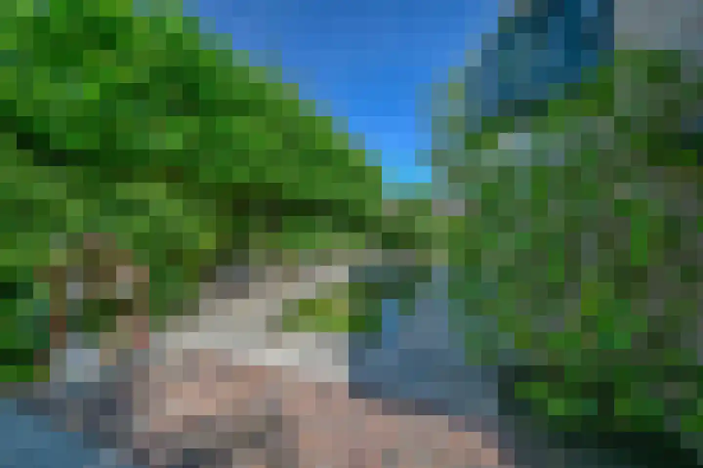 Kamgras 4 Zeewolde thumbnail 30
