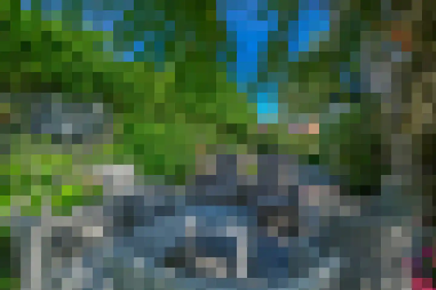 Kamgras 4 Zeewolde thumbnail 32
