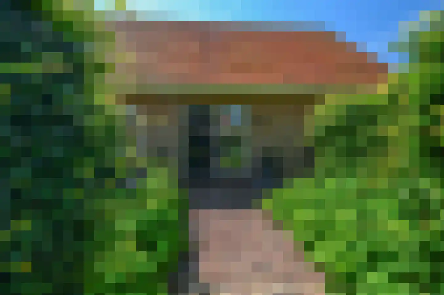 Kamgras 4 Zeewolde thumbnail 33