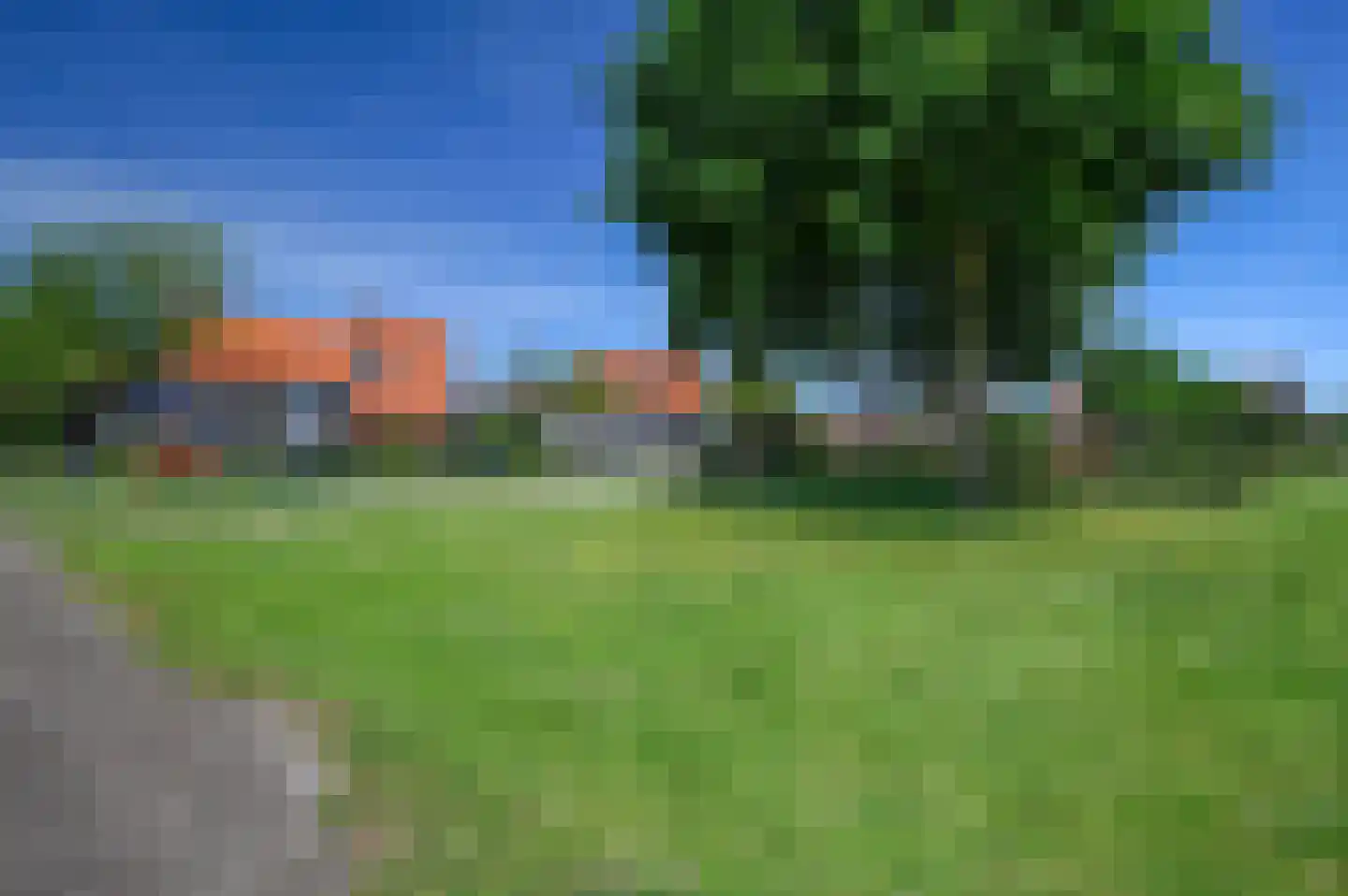 Kamgras 4 Zeewolde thumbnail 34