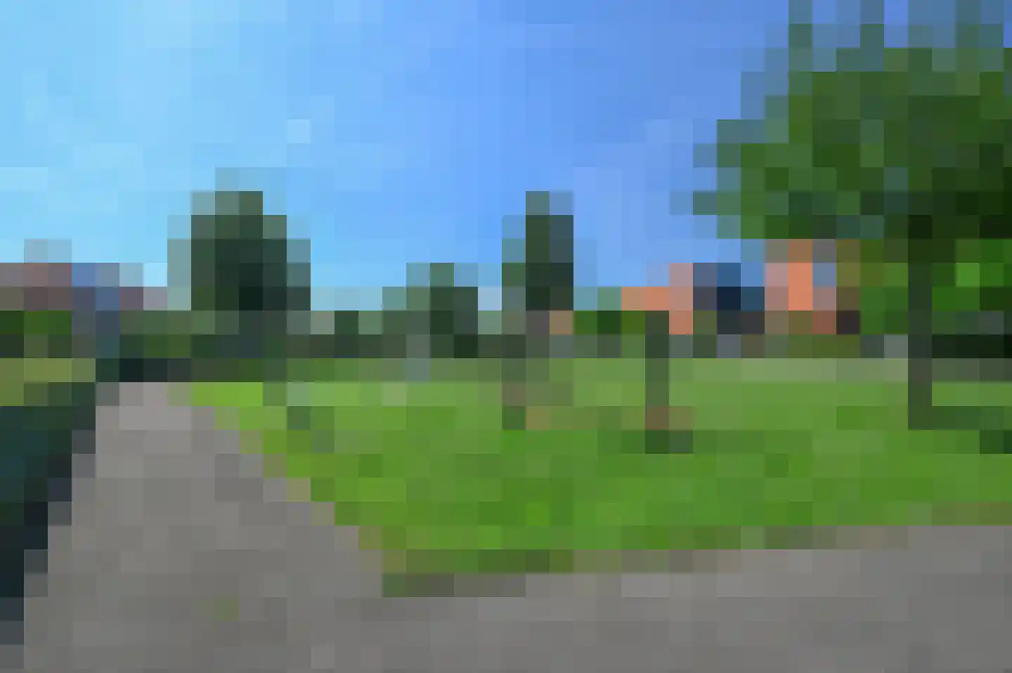 Kamgras 4 Zeewolde thumbnail 35