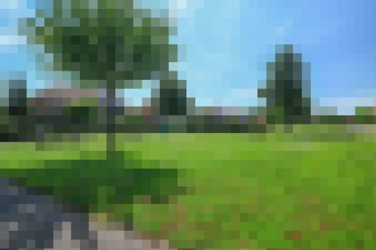 Kamgras 4 Zeewolde thumbnail 37