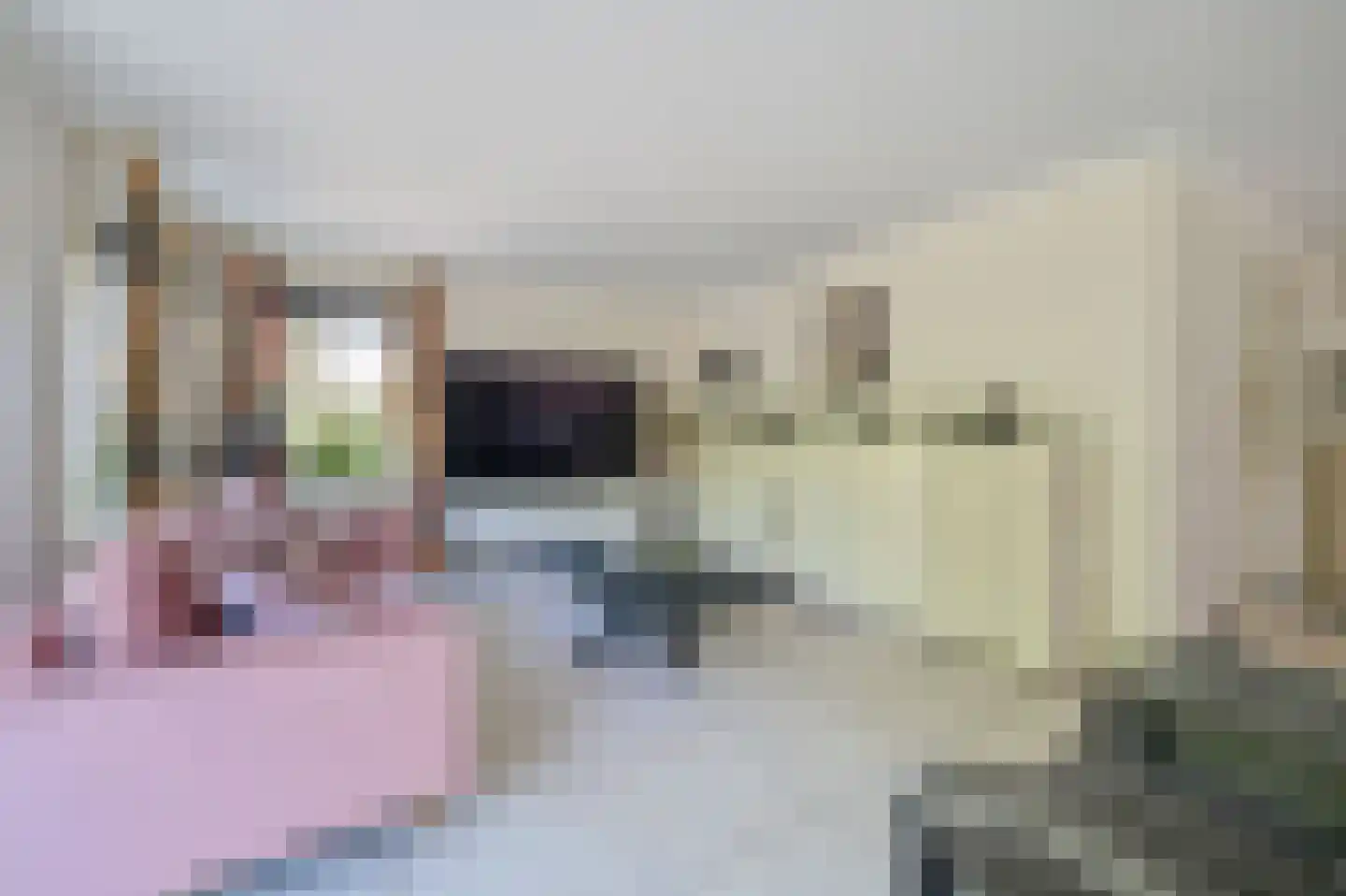 Kamgras 4 Zeewolde thumbnail 5