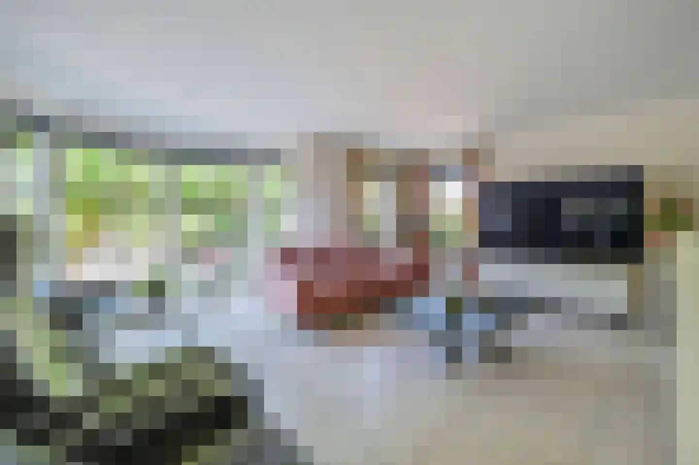 Kamgras 4 Zeewolde thumbnail 6