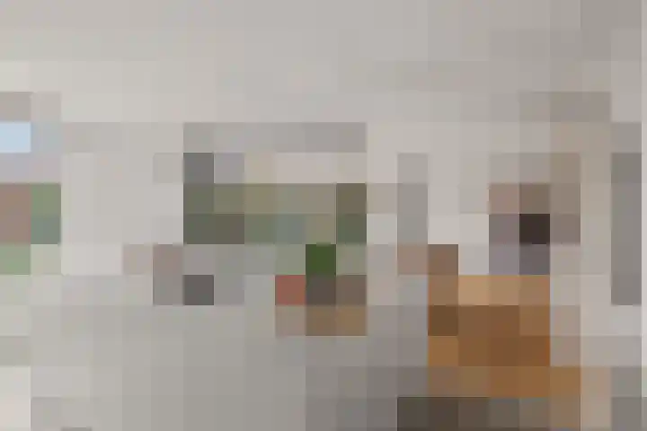 Kamgras 44 Houten thumbnail 13