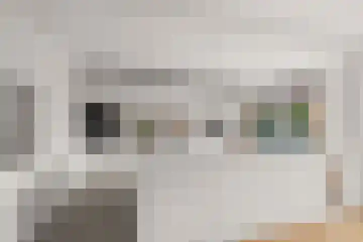 Kamgras 44 Houten thumbnail 14