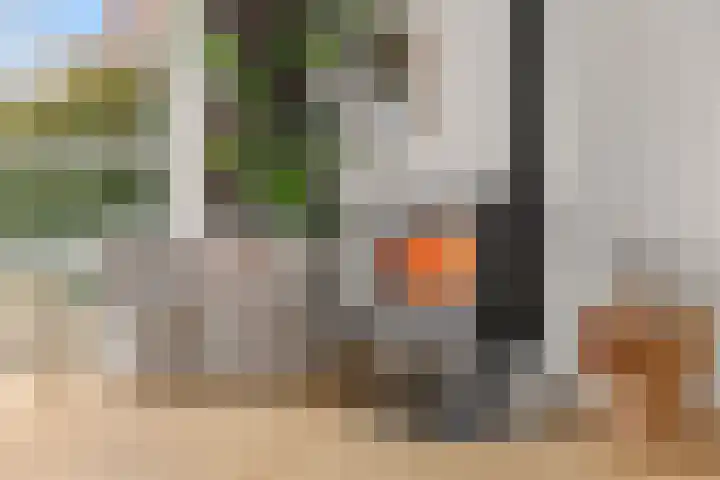 Kamgras 44 Houten thumbnail 19