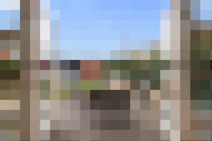 Kamgras 44 Houten thumbnail 21