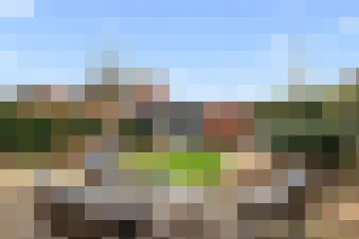 Kamgras 44 Houten thumbnail 22