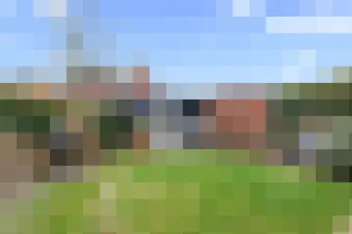 Kamgras 44 Houten thumbnail 23