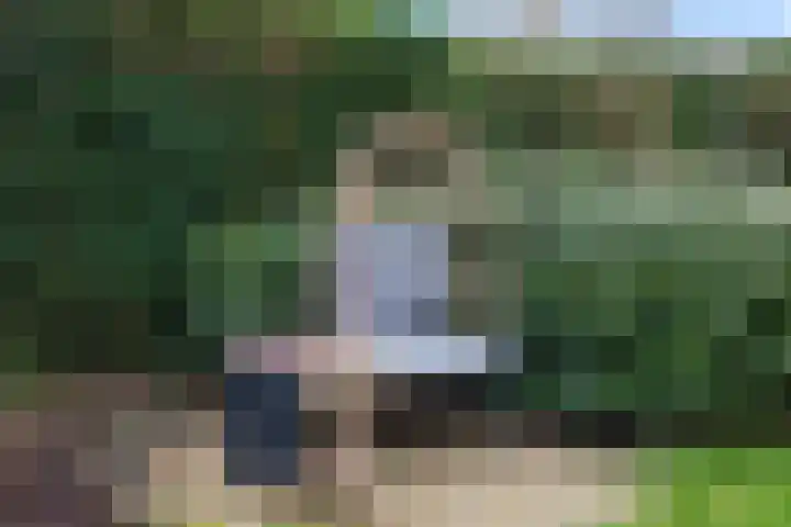Kamgras 44 Houten thumbnail 24